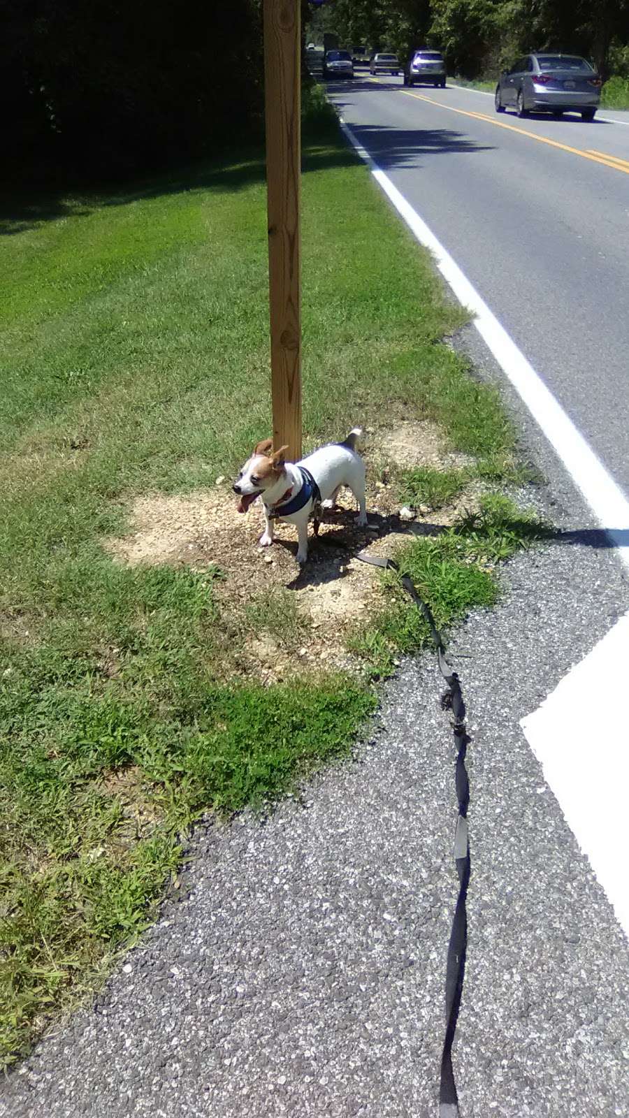 Parking For Indian Head Rail Trail | Indian Head, MD 20640