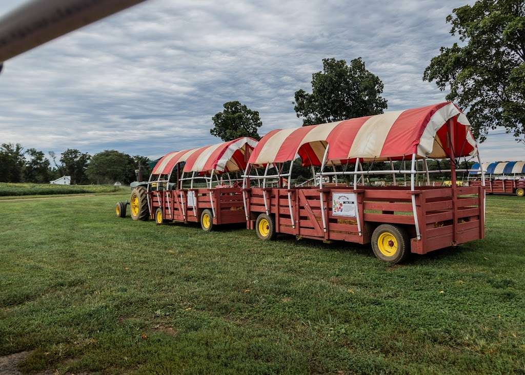 Johnsons Locust Hall Farm | 2691 Monmouth Rd, Jobstown, NJ 08041, USA | Phone: (609) 353-9000