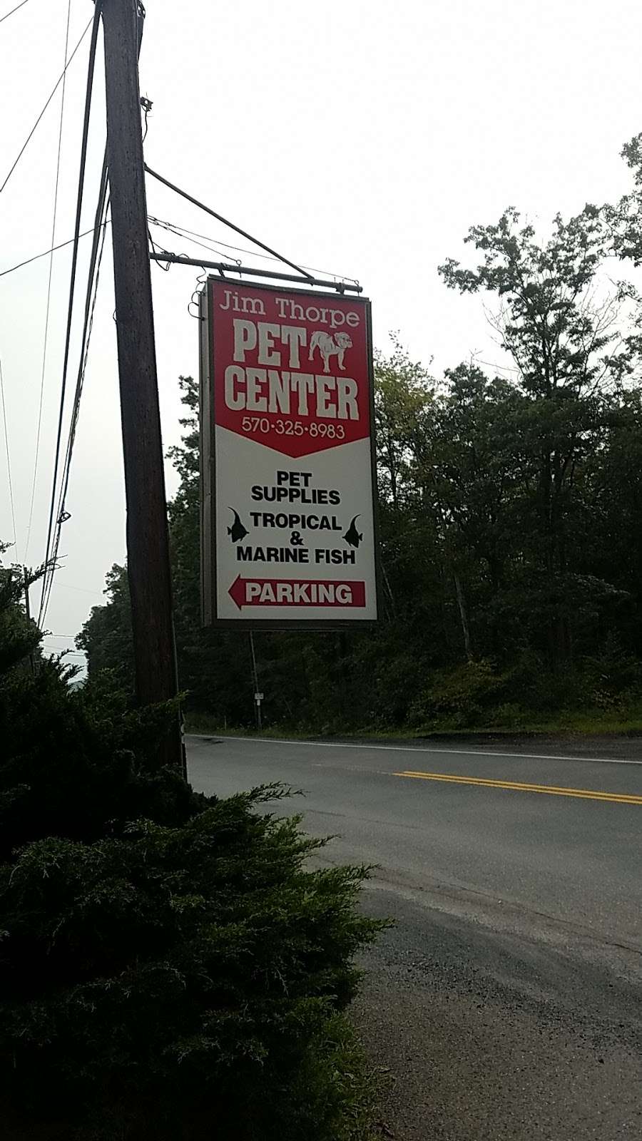Jim Thorpe Pet Center | 1592 Center Ave, Jim Thorpe, PA 18229, USA | Phone: (570) 325-8983