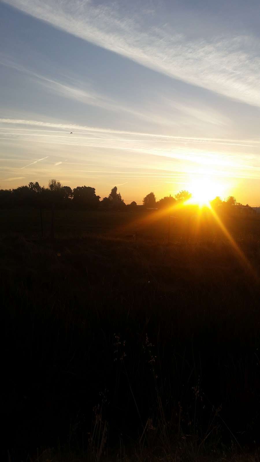 Georges Feed & Pet Supply | 1530 Humphrey Dr, Suisun City, CA 94585, USA | Phone: (707) 425-9642 Georges Feed & Pet Supply | 1530 Humphrey Dr, Suisun City, CA 94585, USA | Phone: (707) 425-9642