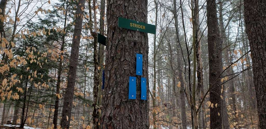 Haseltine Trailhead | B-H Trail, Amherst, NH 03031