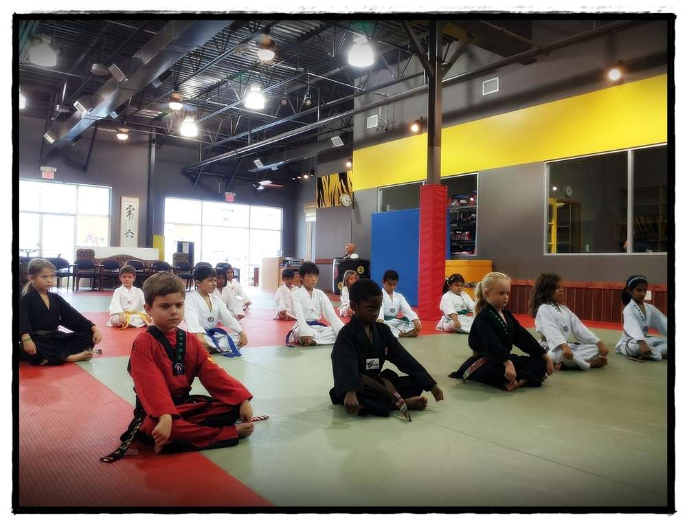 Tiger Den Martial Arts, South Riding | 25401 Eastern Marketplace Plaza, Chantilly, VA 20152, USA | Phone: (703) 542-2215