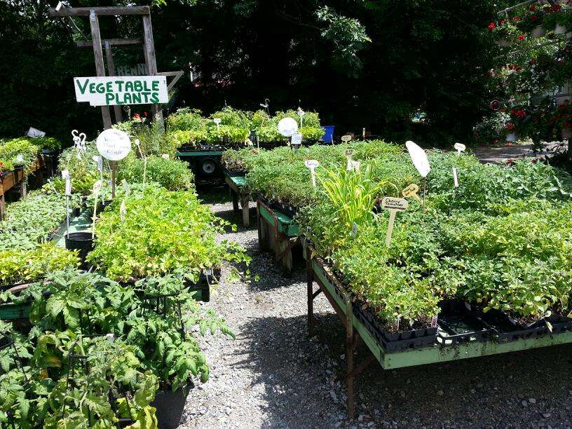 Culver Lake Nursery & Farm | 443 US-206, Branchville, NJ 07826 | Phone: (973) 948-6332