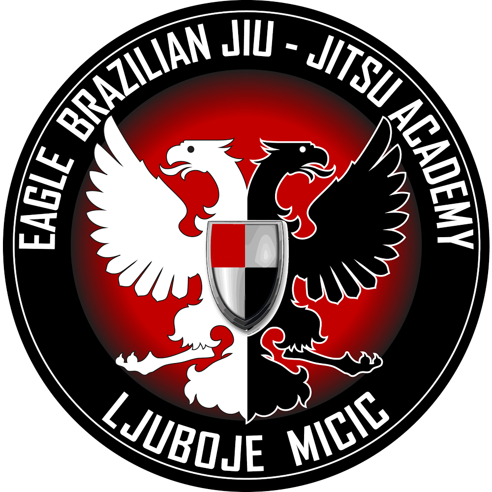 Eagle Brazilian Jiu Jitsu Academy | 8707 W State St B, Boise, ID 83714, USA | Phone: (208) 789-7949