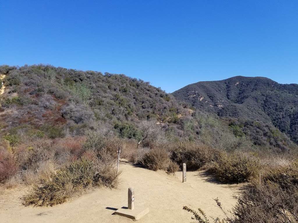 Viewpoint at Temescal Ridge Trail | Temescal Ridge Trail, Pacific Palisades, CA 90272