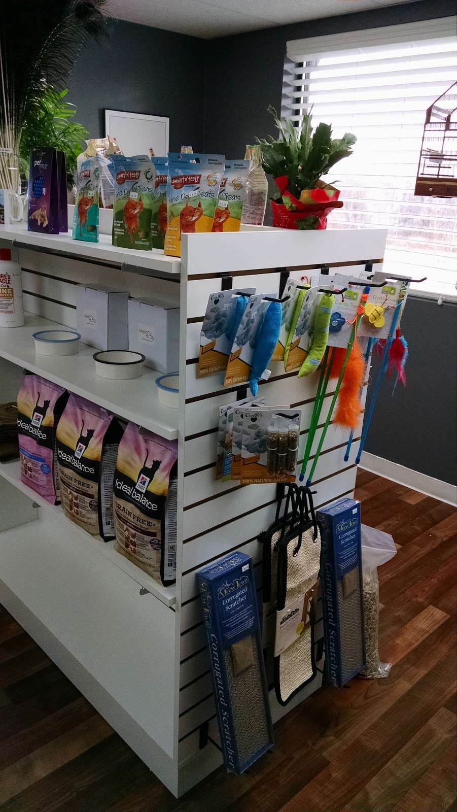 Doggie Do Little Pet Salon Spa Boutique Store 2738 S