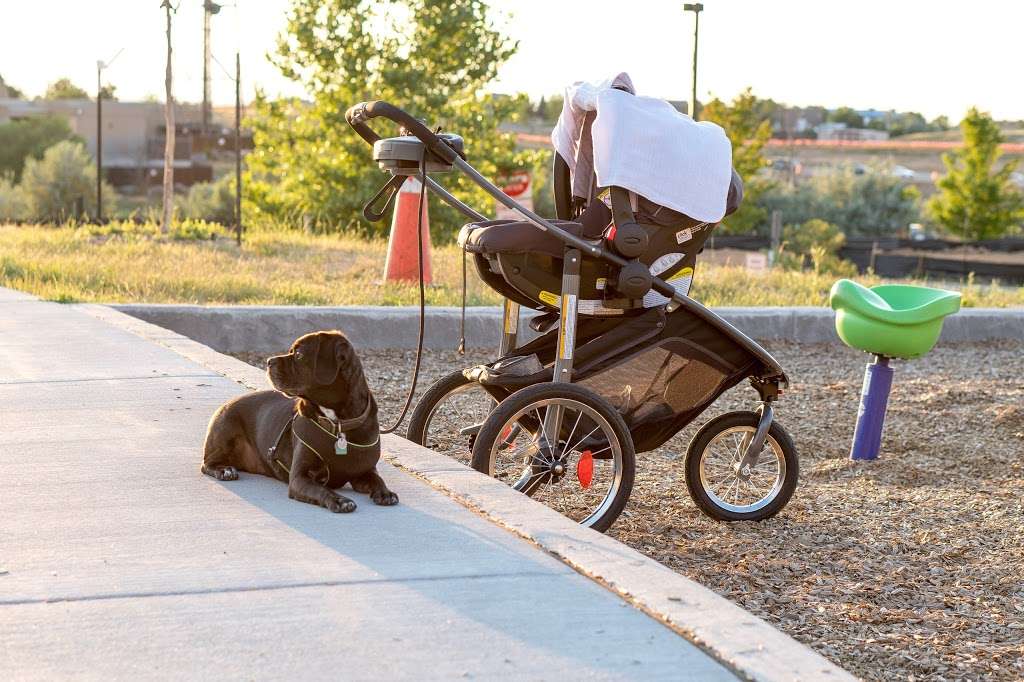 Province Center Park | 8789 Redwing Ave, Highlands Ranch, CO 80126, USA | Phone: (303) 798-5131 Province Center Park | 8789 Redwing Ave, Highlands Ranch, CO 80126, USA | Phone: (303) 798-5131