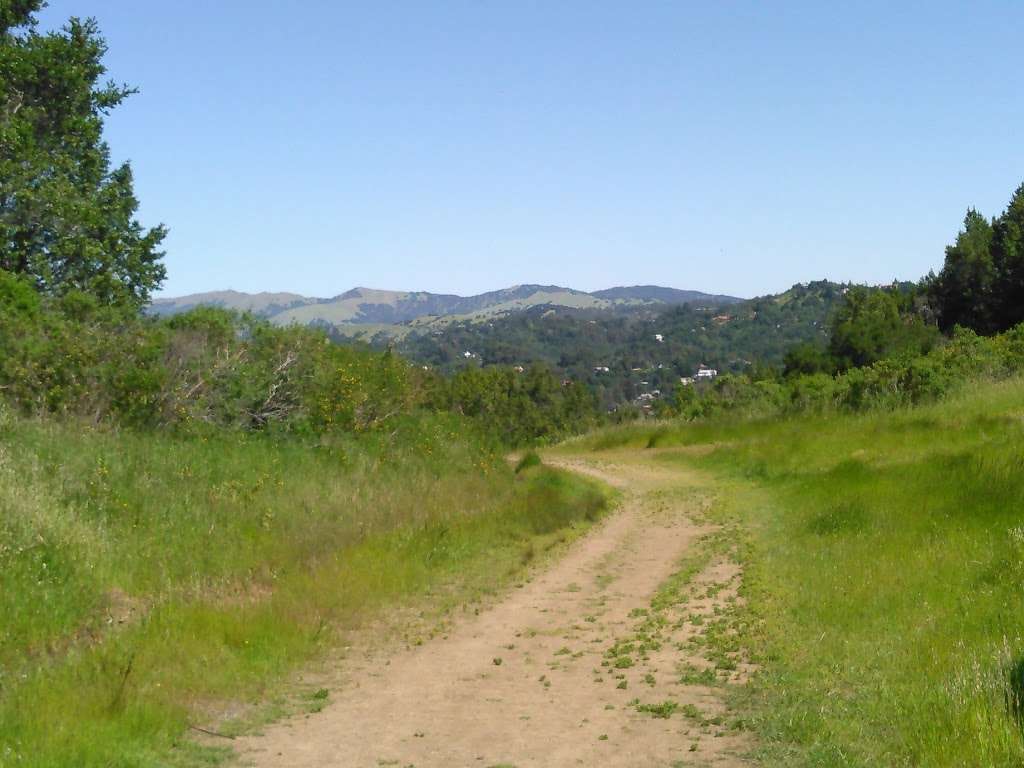 King Mountain Open Space | Citron Fire Rd, Larkspur, CA 94939, USA