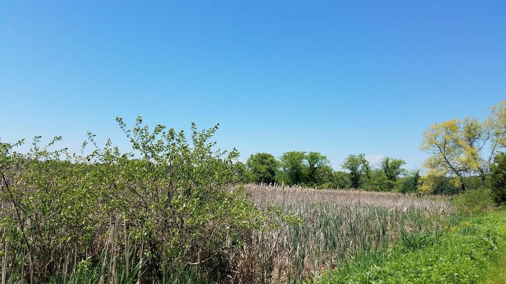 Hyper Humus Marsh | Newton, NJ 07860, USA