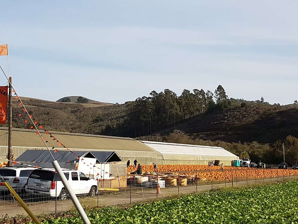 Lemos Farm | 12320 San Mateo Rd, Half Moon Bay, CA 94019, USA | Phone: (650) 726-2342