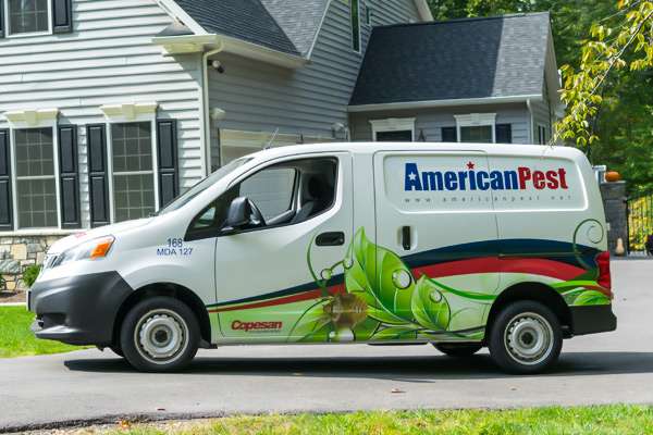 American Pest | 11820 W Market Pl, Fulton, MD 20759, USA | Phone: (301) 891-2600