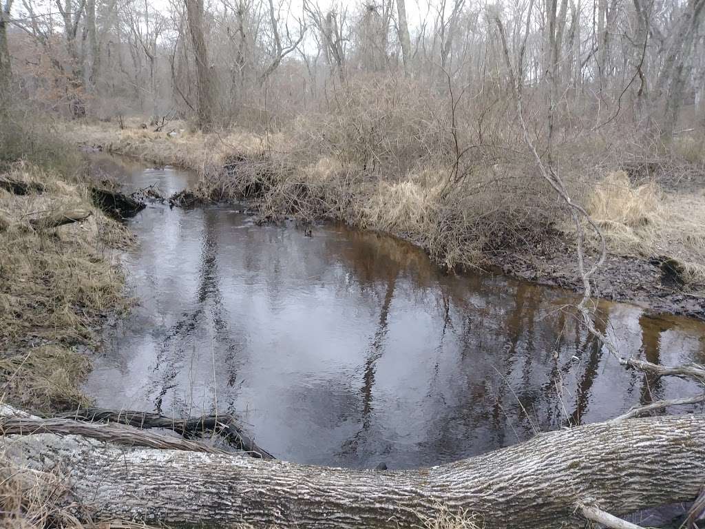 Steve Kitay Living Trail | Frank Applegate Rd, Jackson, NJ 08527, USA