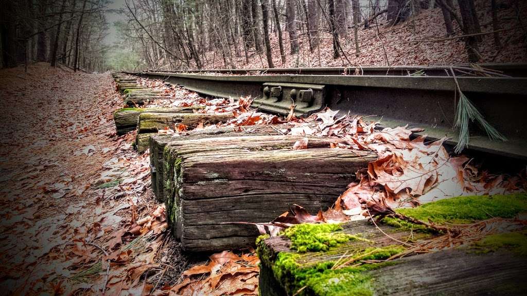 Hopbrook Marsh Conservation Land | Sudbury, MA 01776, USA