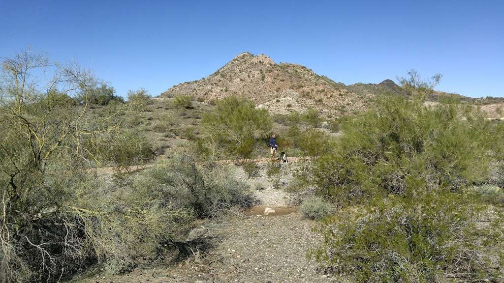 Phoenix Mountains Preserve | 2701 E Squaw Peak Dr, Phoenix, AZ 85028, USA | Phone: (602) 261-8318