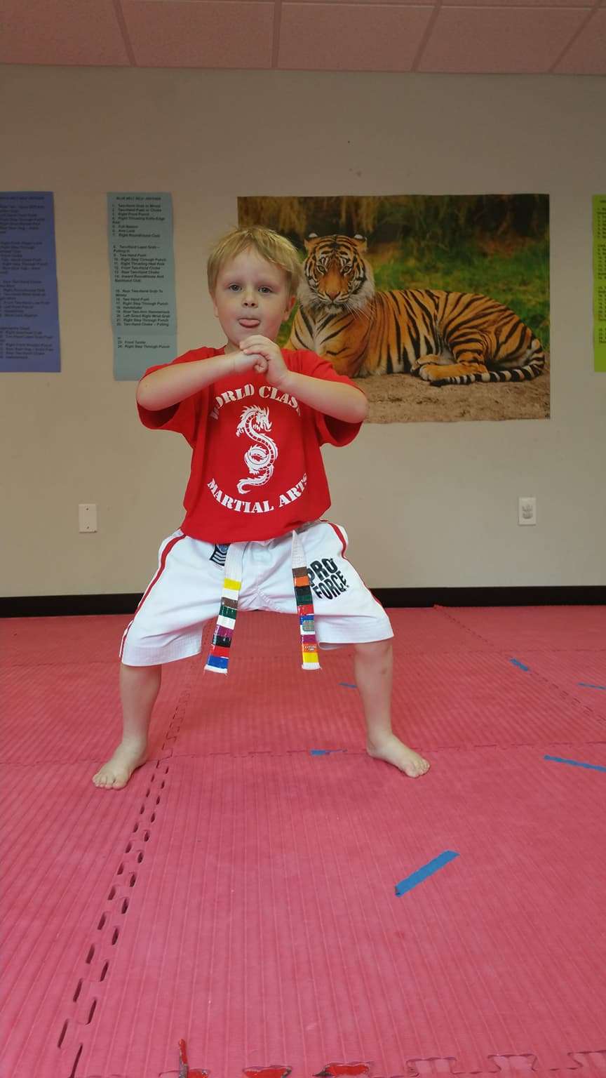 World Class Martial Arts | 25 Nashua Rd d3, Londonderry, NH 03053, USA | Phone: (603) 845-6115