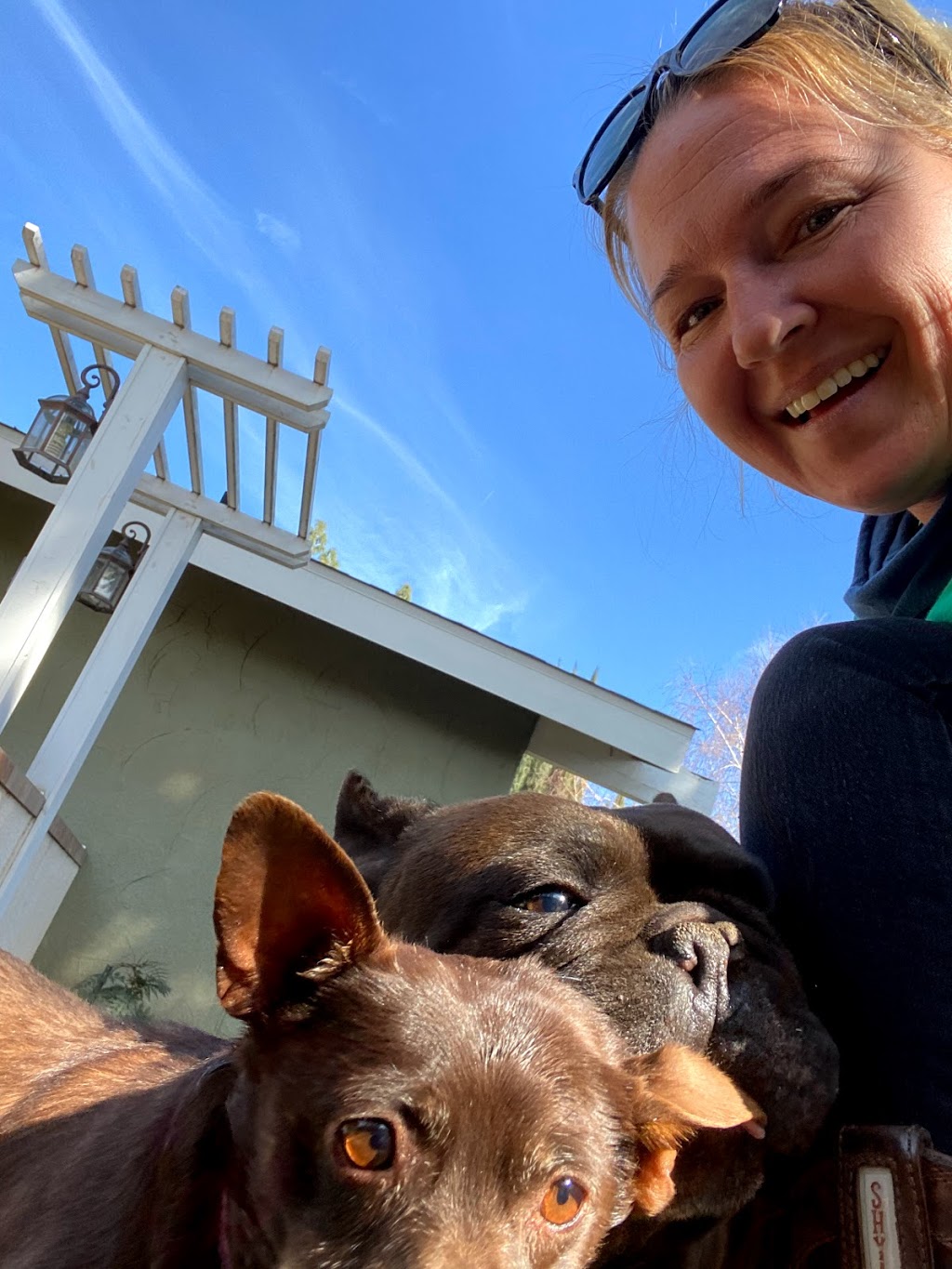 The Poop Fairies | 14943 Brookhill Rd, Madera, CA 93636, USA | Phone: (559) 468-7667