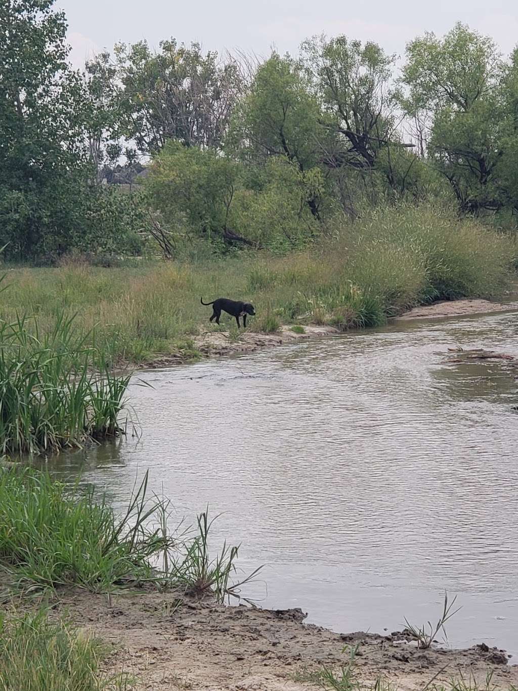 Kennedy Dog Park | 9700 E Hampden Ave, Denver, CO 80231, USA | Phone: (720) 913-1311