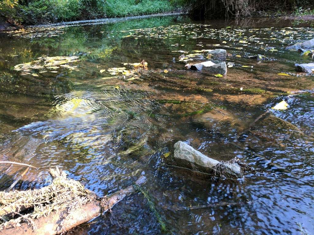 Horsepen Run Stream Valley Park | Herndon, VA 20171