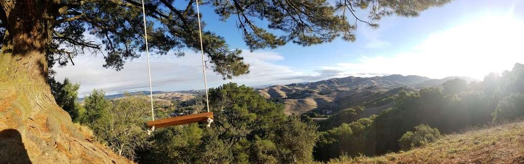 Tree Of Life | Moraga, CA 94556, USA