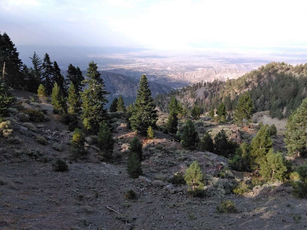 North Backbone Trail Head | Blue Ridge Truck Trail, Lytle Creek, CA 92358