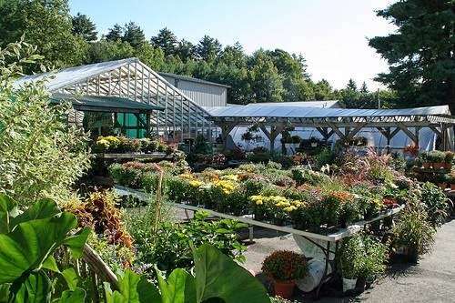 Gulbankian Farms Garden Center & Florist Shop | 40 Mt Vickery Rd, Southborough, MA 01772, USA | Phone: (508) 485-8979