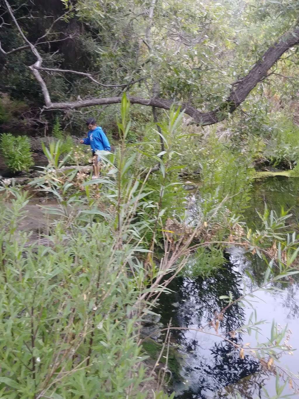 Penasquitos Creek Crossing | Los Penasquitos Canyon Trail, San Diego, CA 92129