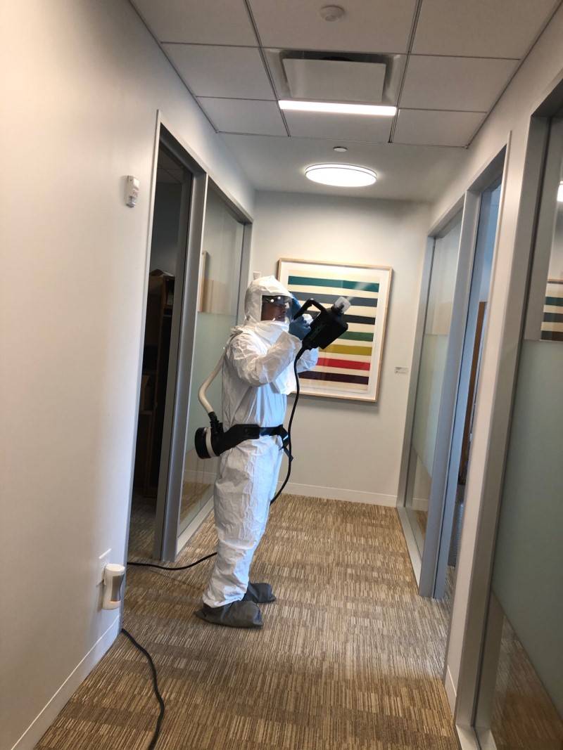 WOW Total Cleaning & Restoration | 1116 Regal Row, Austin, TX 78748, USA | Phone: (512) 291-0048 WOW Total Cleaning & Restoration | 1116 Regal Row, Austin, TX 78748, USA | Phone: (512) 291-0048