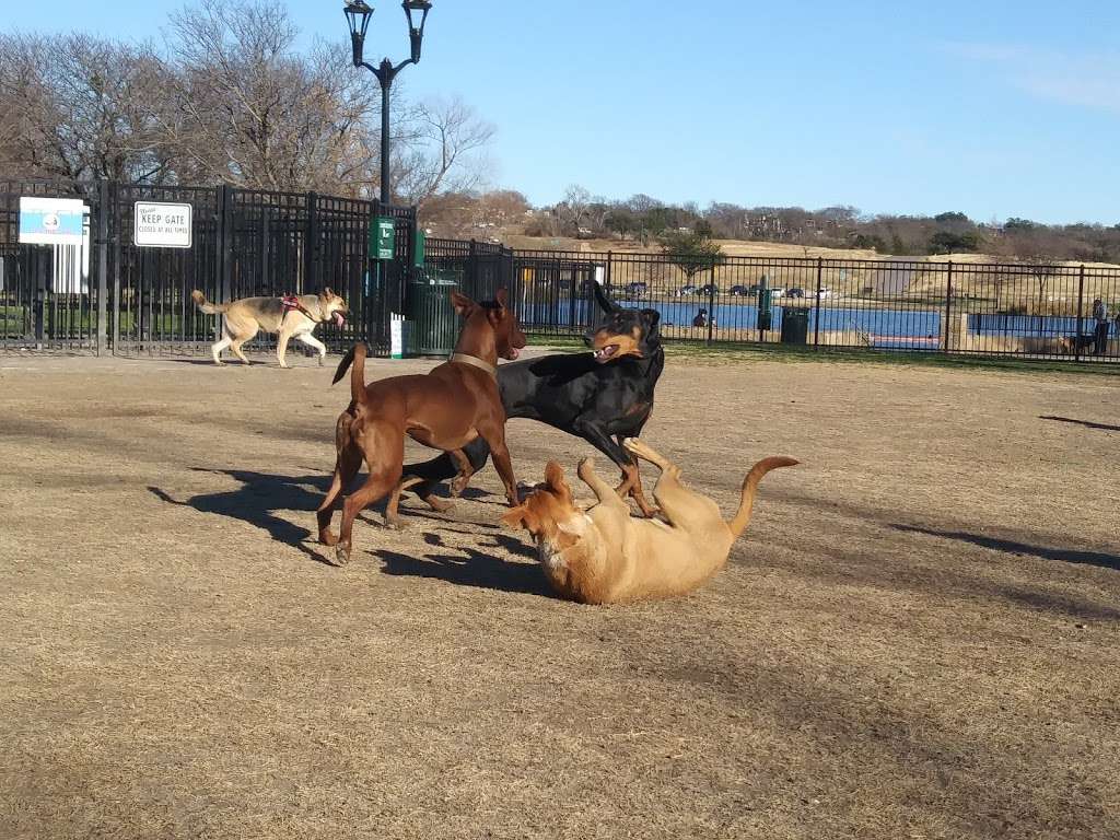 White Rock Lake Dog Park | 8000 E Mockingbird Ln, Dallas, TX 75218, USA | Phone: (214) 671-8001