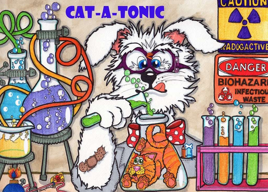 TeensyToons | 5416 Bryce Canyon Dr, Kissimmee, FL 34758, USA | Phone: (435) 229-0995