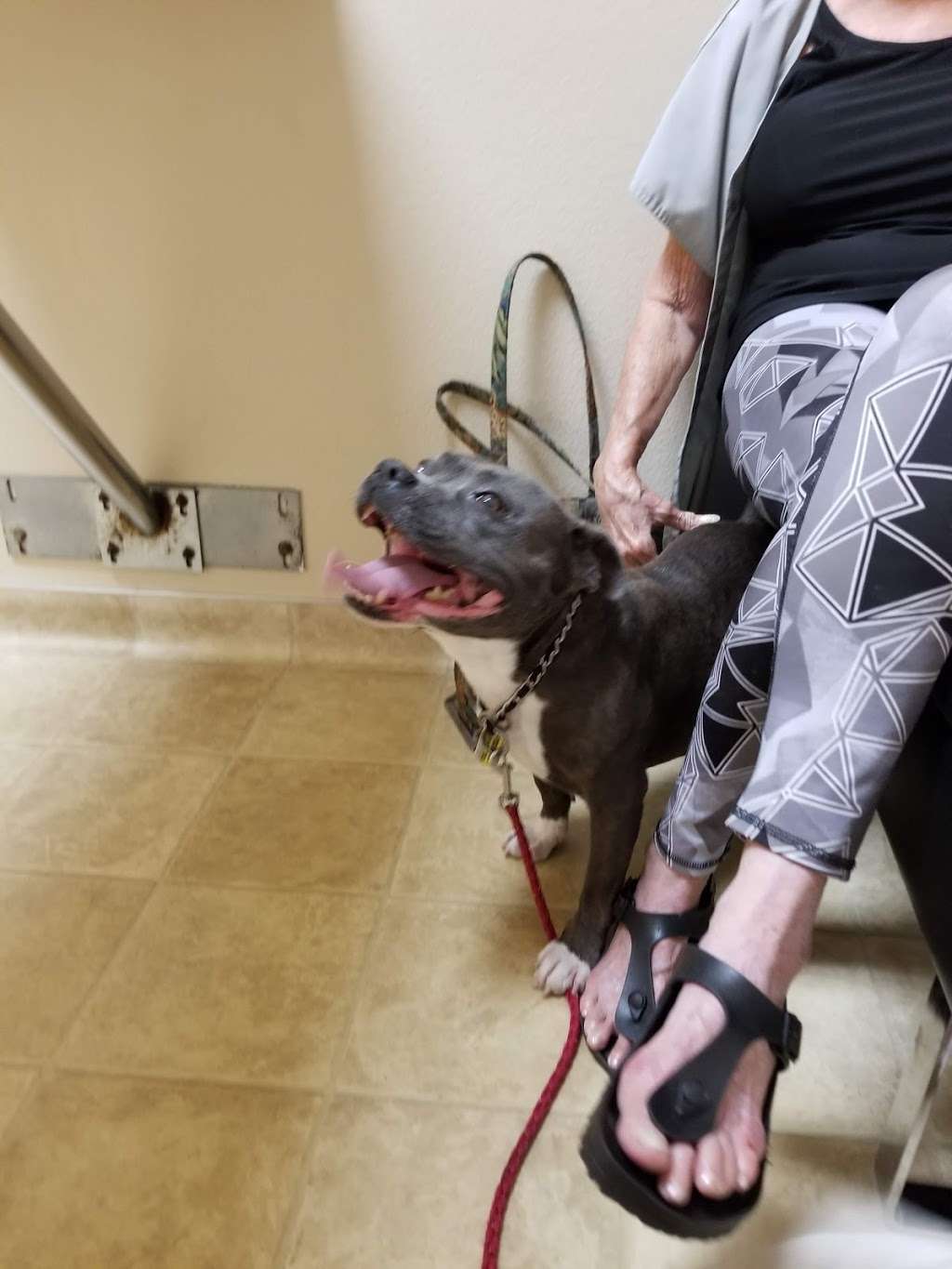 Animal Care Clinic 2650 Jamacha Road 159, El Cajon, CA 92019, USA