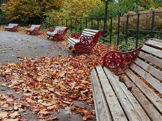 The Bandstand | London SW11 4NJ, UK