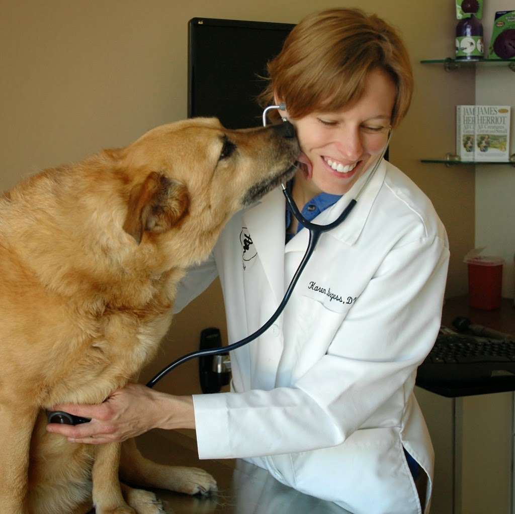 Healthy Paws Animal Hospital | 4581 Princeton Ln #101, Lake in the Hills, IL 60156, USA | Phone: (815) 322-5400