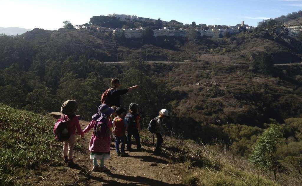 Neighborhood Playgarden | 59 Grand View Ave, San Francisco, CA 94114 | Phone: (415) 971-4963