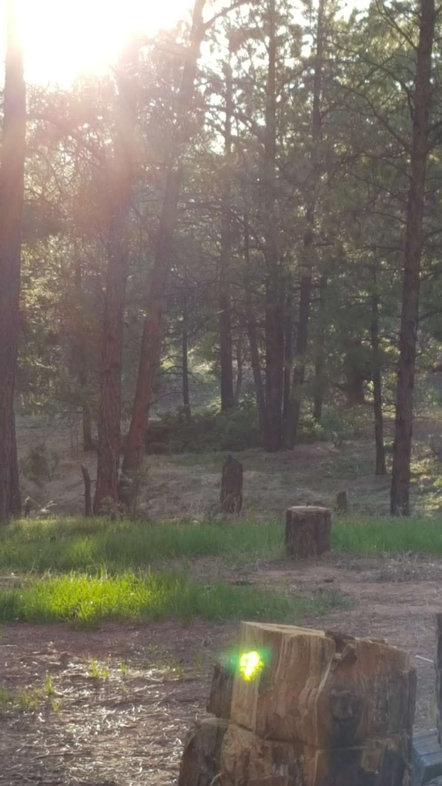 Rainbow Falls Mountain Trout Rec Area | 14918 CO-67, Sedalia, CO 80135, USA