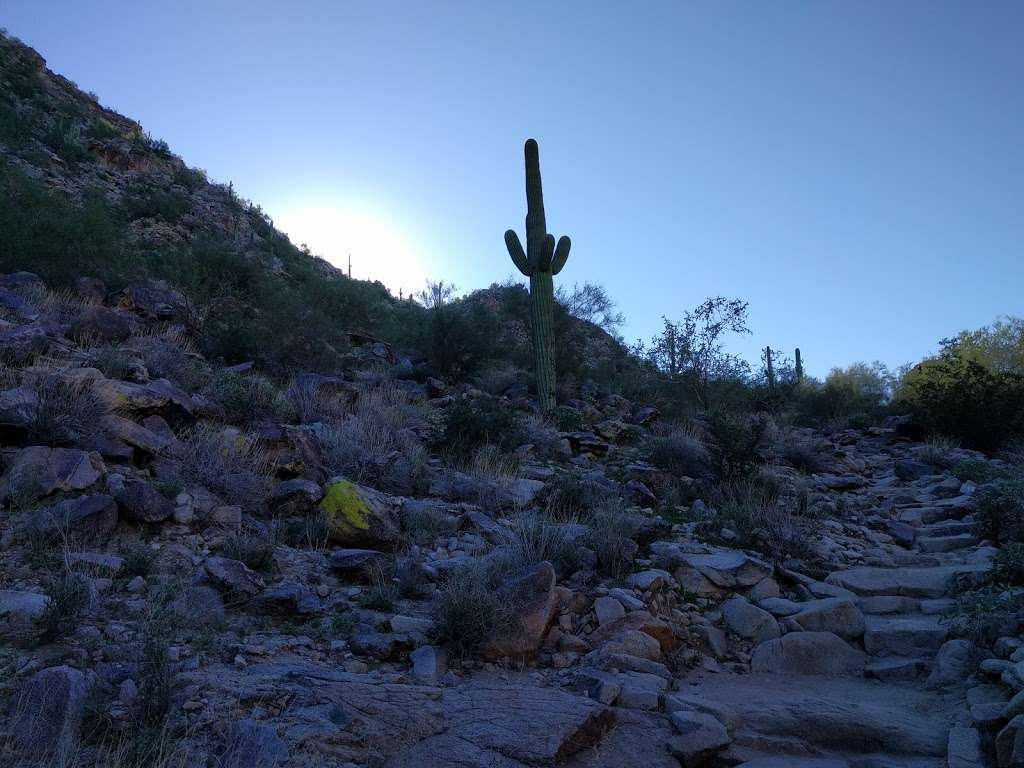 Kiwanis Trail Trailhead | Kiwanis Trail, Phoenix, AZ 85042, USA