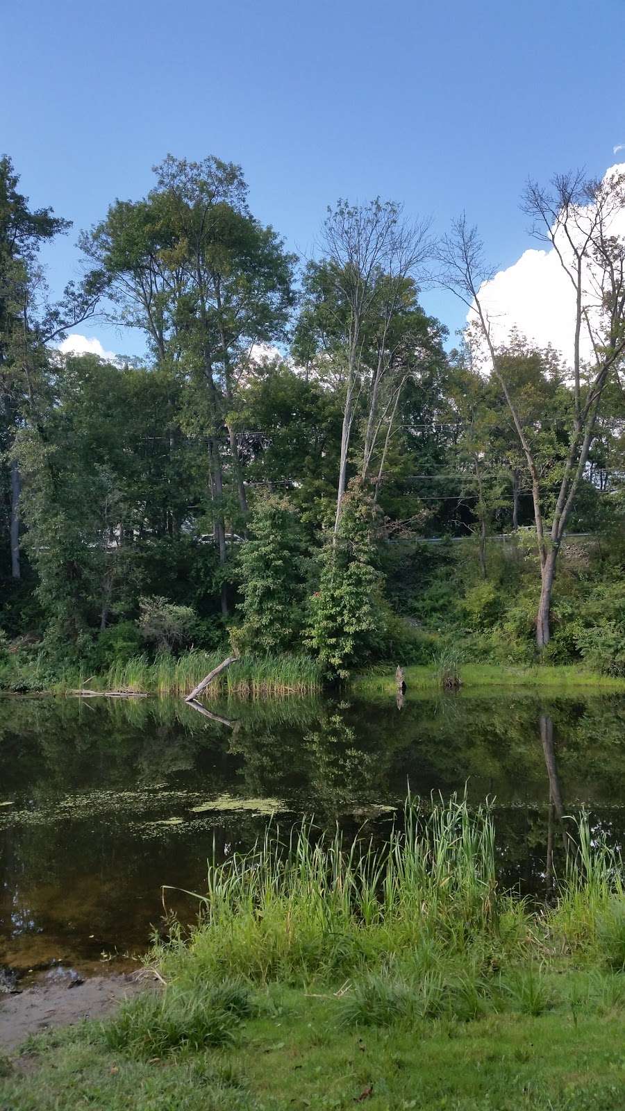 Mill Pond Recreation Area | 693 Main St, West Newbury, MA 01985, USA