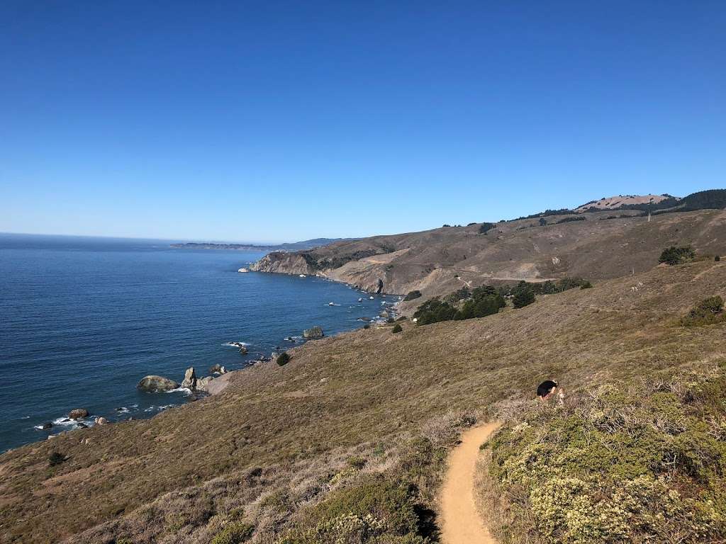 Owl Trail | Muir Beach, CA 94965