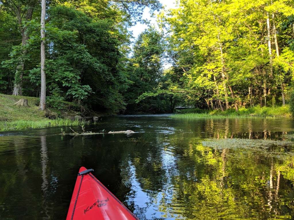 Bashakill Wildlife Management Area | Wurtsboro, NY 12790, USA