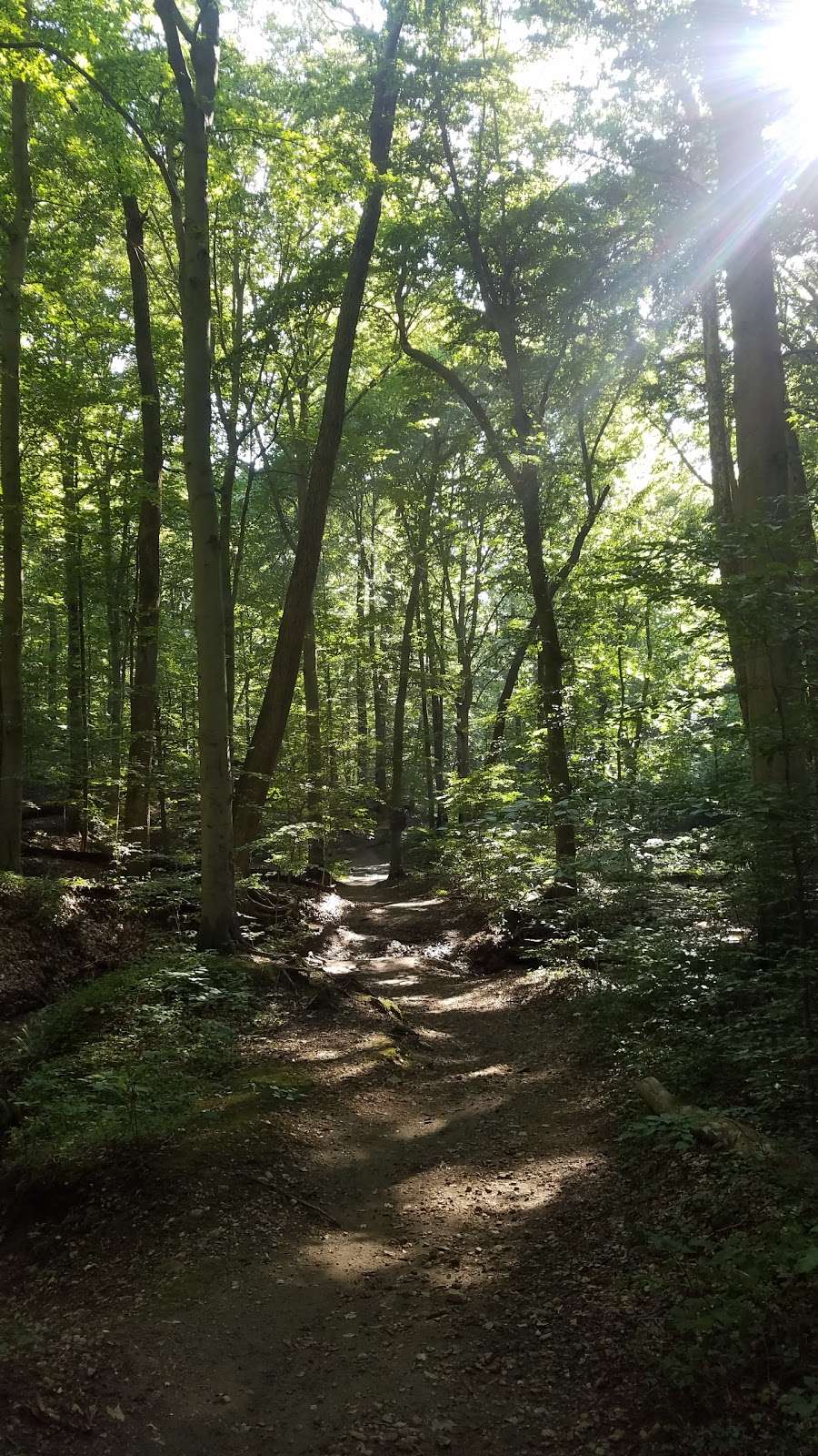 Patapsco State Park, Soapstone Trail start | 1288 S Rolling Rd, Halethorpe, MD 21227