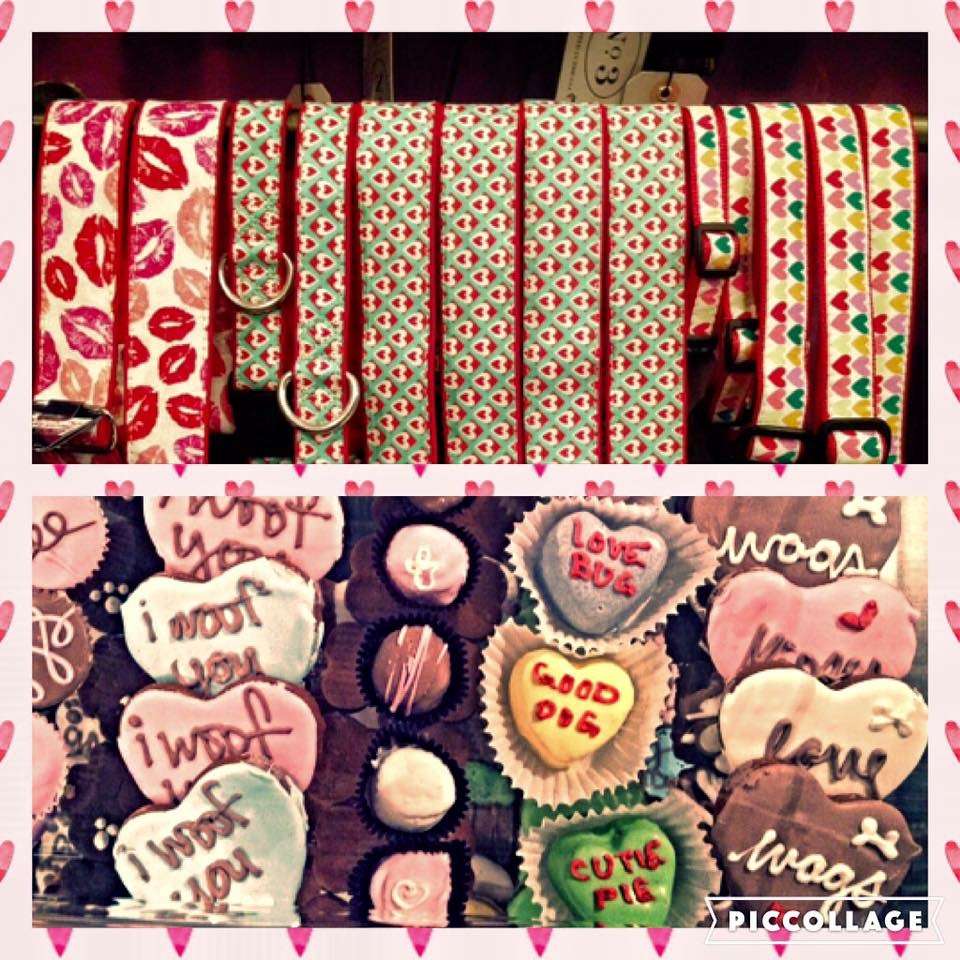 Faux Paws Wholesome Pet Shop | 318 Springfield Ave, Summit, NJ 07901, USA | Phone: (908) 516-2701