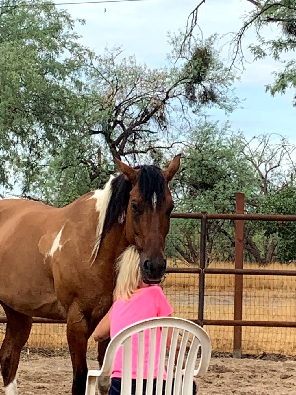 Heart of the Horse Ranch | 9035 E Woodland Rd, Tucson, AZ 85749, USA | Phone: (845) 667-2566