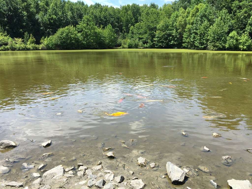 Washington Lake Park | 626 Hurffville - Cross Keys Rd, Sewell, NJ 08080, USA | Phone: (856) 589-6427