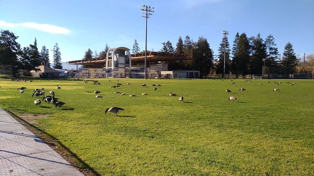 Softball Field 1, Central Park | 901 Kiely Blvd, Santa Clara, CA 95051, USA