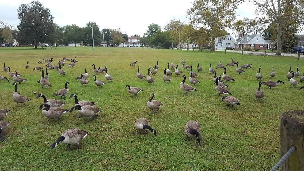 Riviera Beach Community Park, Memorial & Playground | 131 Meadow Rd, Pasadena, MD 21122, USA