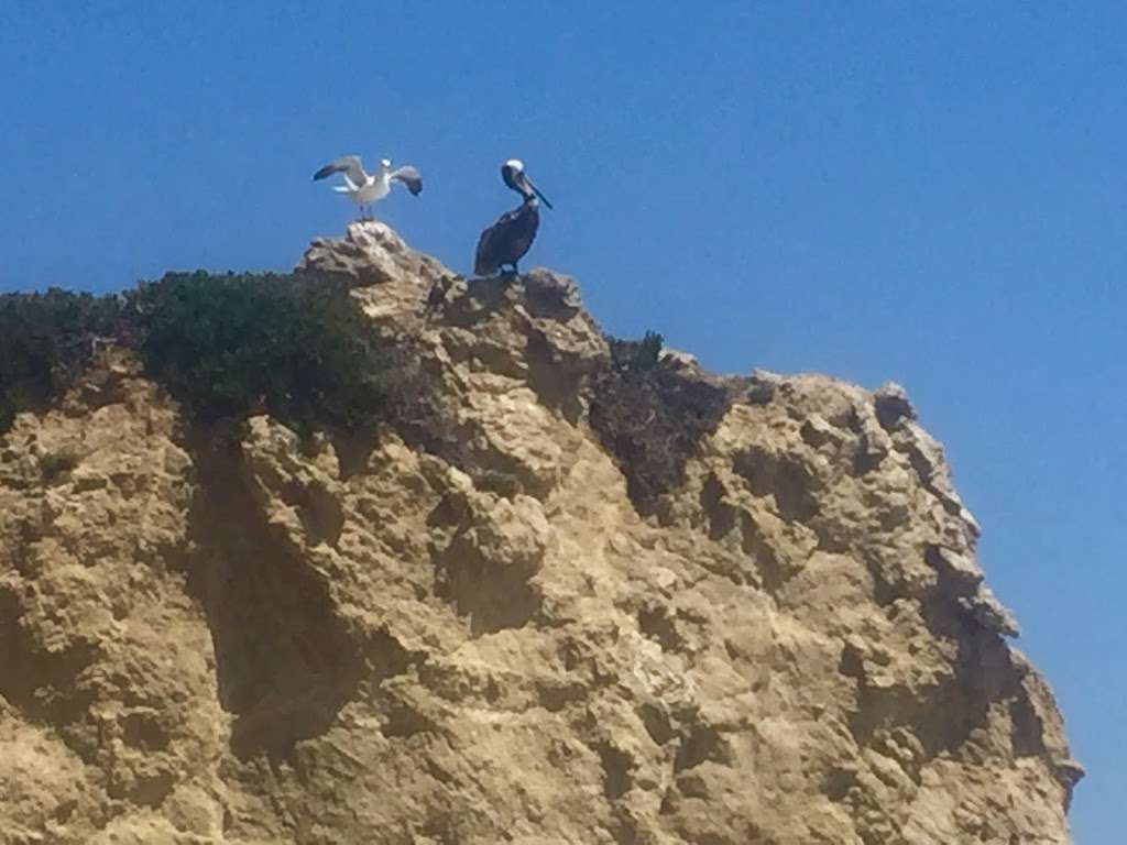 El Matador State Beach Parking | Malibu, CA 90265, USA