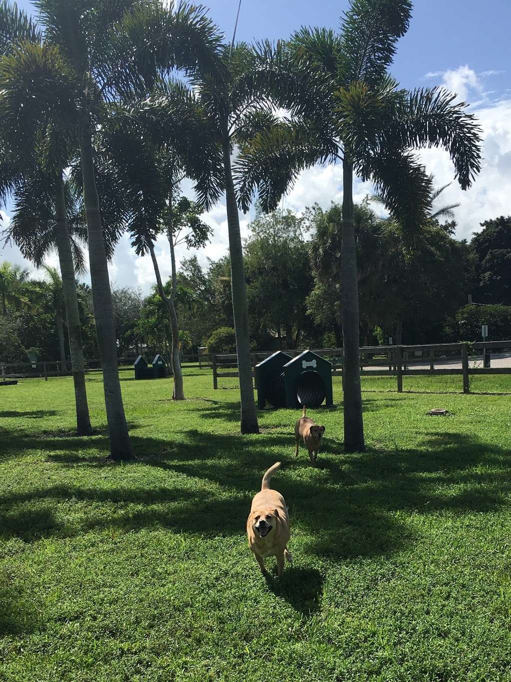 Peaceful Ridge Dog Park | 2950 Frontage Rd, Davie, FL 33330