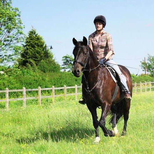 Northaw Manor Equestrian Centre | Northaw Road West Northaw Potters Bar Hertfordshire EN6 4NT, Northaw, Potters Bar EN6 4NT, UK | Phone: 07561 491550