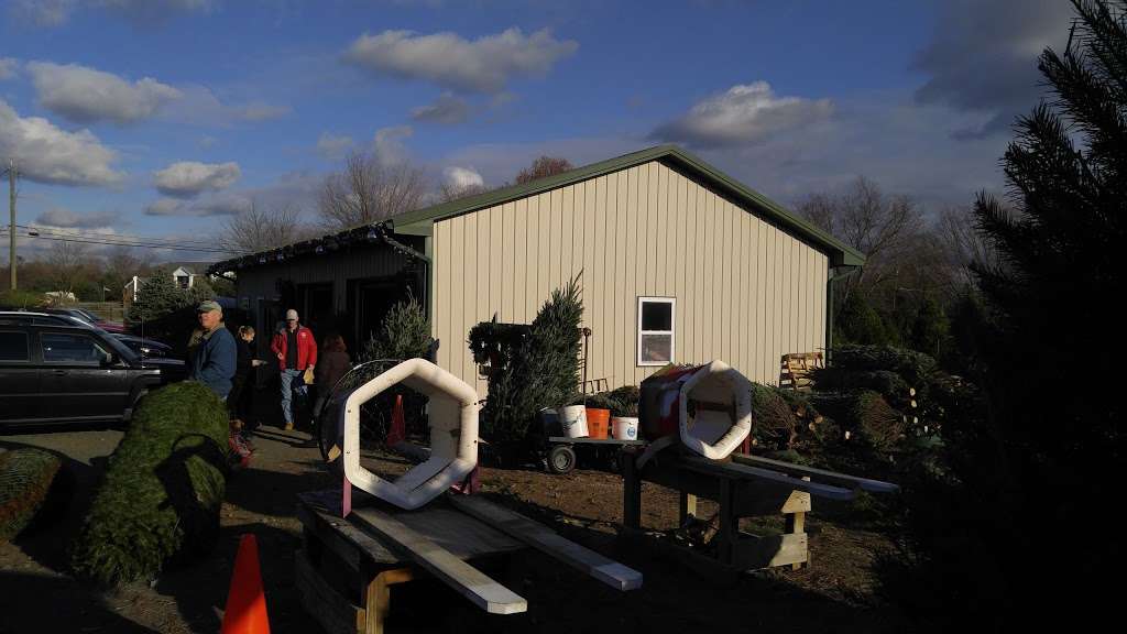 Spruce Goose Christmas Tree Farm 194 Bordentown Georgetown Rd Chesterfield Nj 08515 Usa