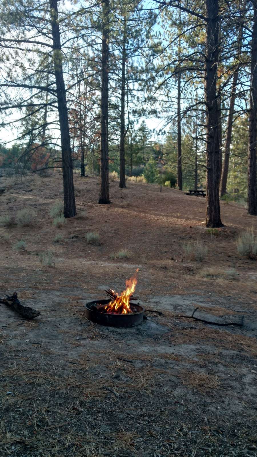 Chilao Picnic Area | Angeles Crest Hwy, Los Angeles, CA 90189, USA | Phone: (626) 574-1613