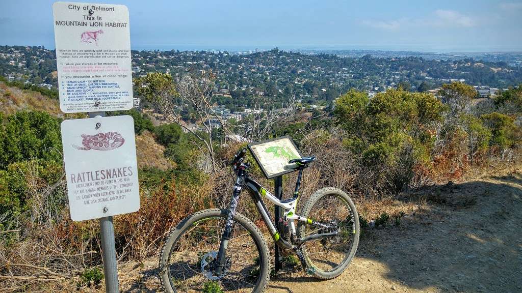 Waterdog Run/Bike Trail | 3-, 7 Somerset Ct, Belmont, CA 94002, USA